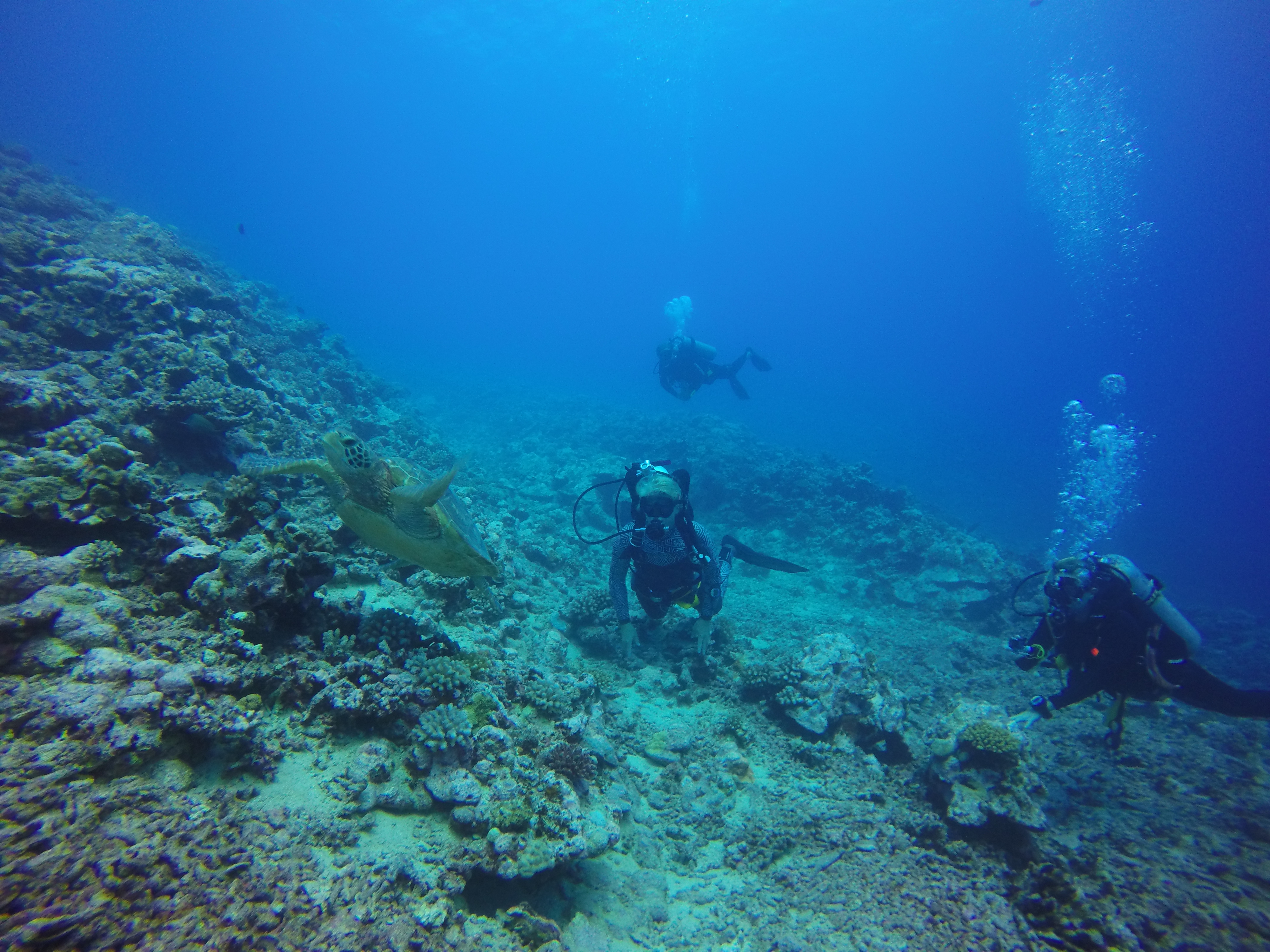 DCIM100GOPROGOPR0107.